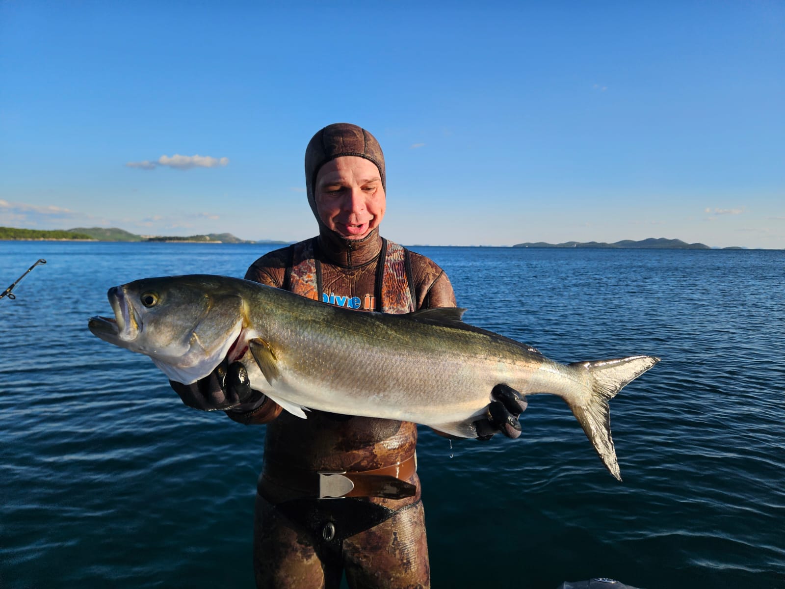 Blue fish caught with Spike speargun.
