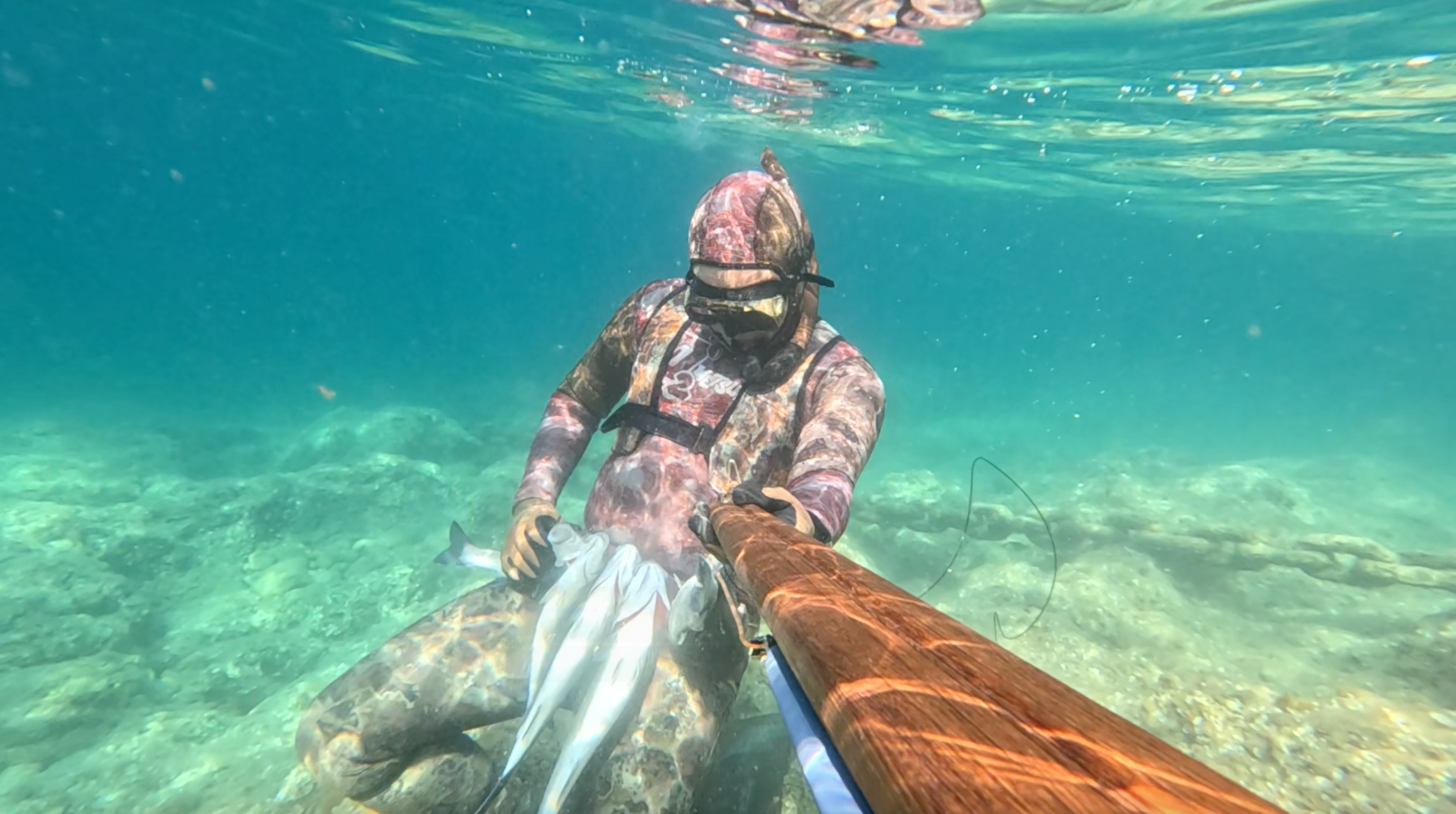 Nice spearfishing catch with Spike.