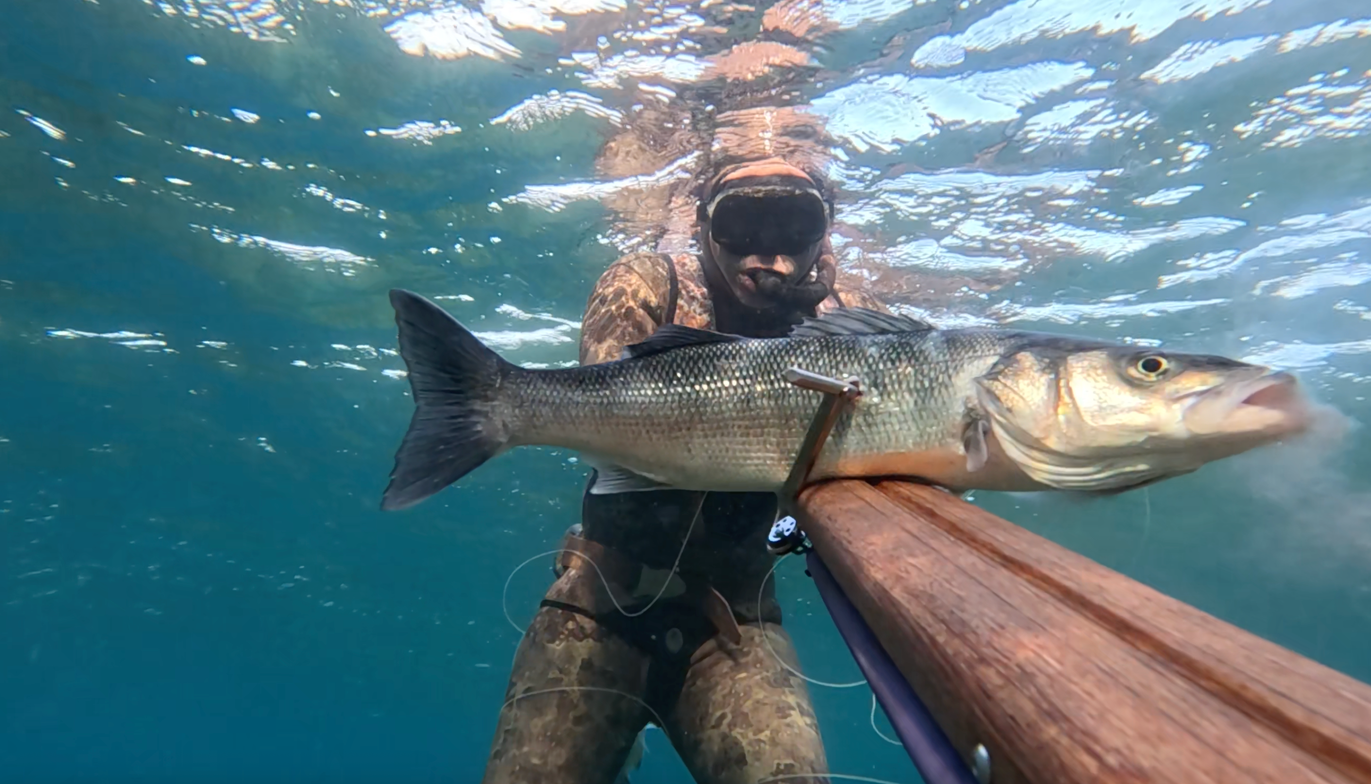 Person holding a fish underwater with clear blue water shot with Spike speargun